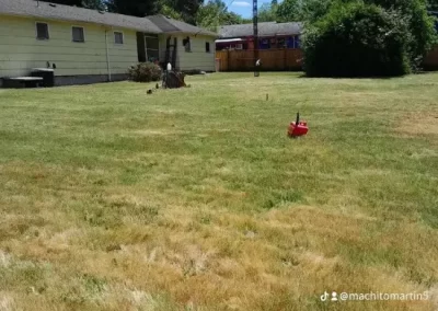 Landscape Maintenance
