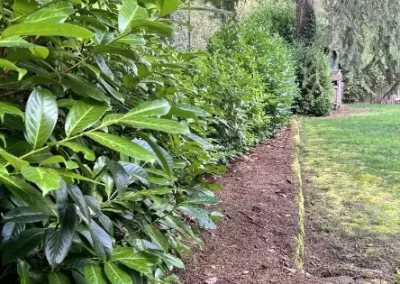 Landscape Services (4)