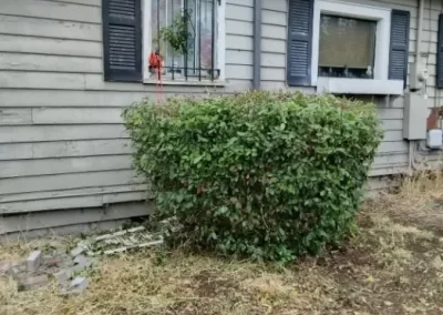 Landscaper