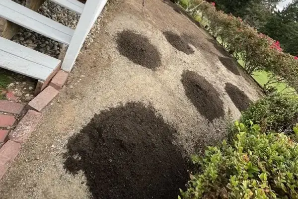Mulching