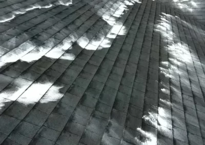 Pressure Washing Services