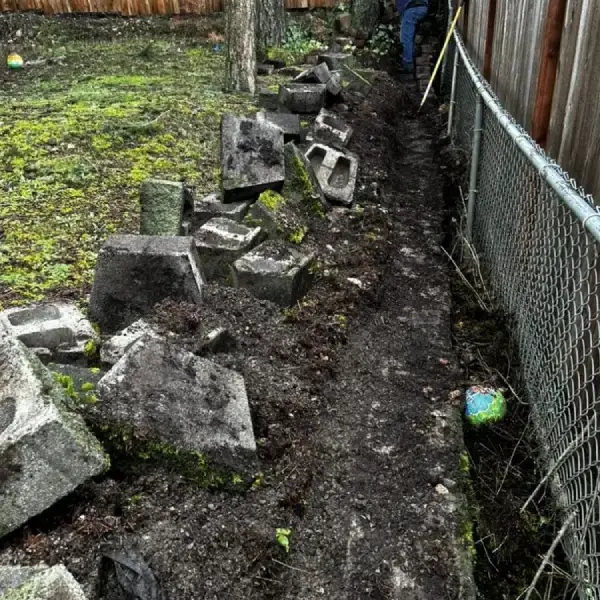 Professional Landscape Services